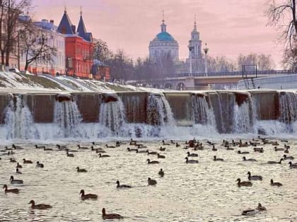 В годовщину присоединения Крыма к России в Орле пройдёт автопробег, студенты отремонтировали машину для военнослужащих СВО, а в Орле помощь понадобилась двум любопытным котам. Об э