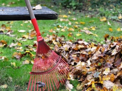 Завтра в Орле пройдёт общегородской субботник