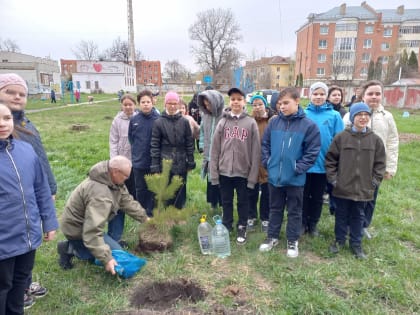 Школьники высадили новую аллею на территории школы!