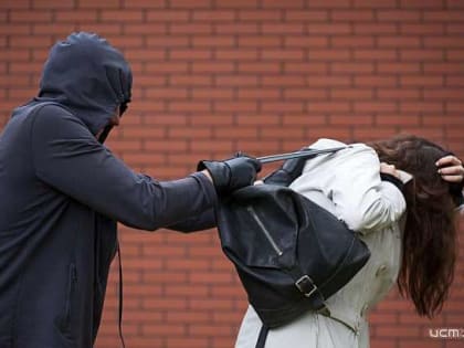 В Орле за пять месяцев произошло 33 грабежа в общественных местах