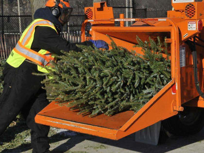 Елка – не мусор: сдайте на переработку главный новогодний атрибут