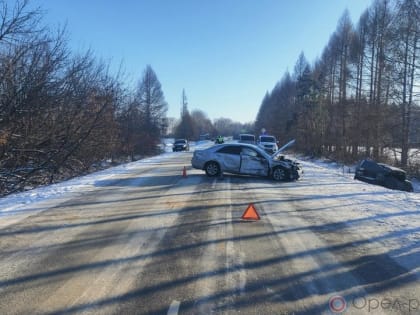 В ДТП на трассе «Орёл-Знаменское» погибли два человека