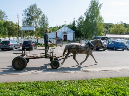 В Неделю 13-ю по Пятидесятнице митрополит Тихон с Архипастырским визитом посетил Сосковский район