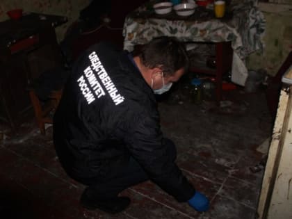 Душегуба из Никуличей отправили в колонию и к психиатру