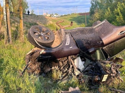 В ДТП под Орлом погиб мужчина и пострадал 10-летний ребёнок