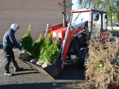13 октября сотрудники компаний «Аврора» и «Русагро» высадили в мценском парке культуры и отдыха (ПКиО) 183 дерева и 300 кустарников