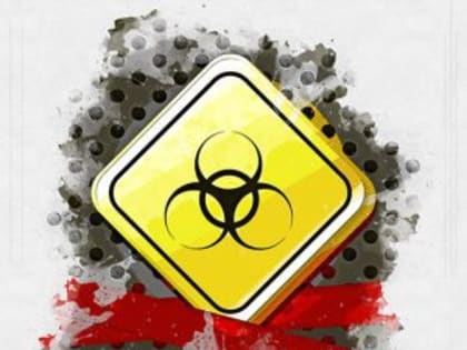 Предупреждение о птичьем гриппе для охотников в Орле