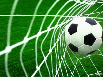 В Орловской области появится Автономная некоммерческая организация «Спортивный клуб «Орел»