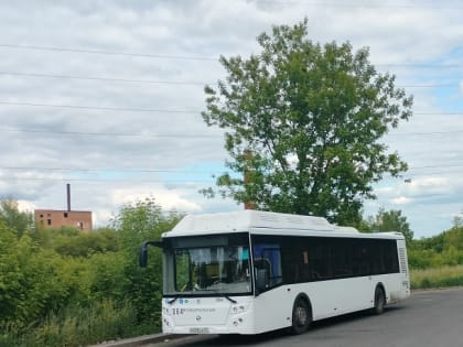 Сельским учителям компенсируют расходы на проезд