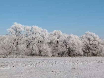 В Орле будут бороться с изменением климата