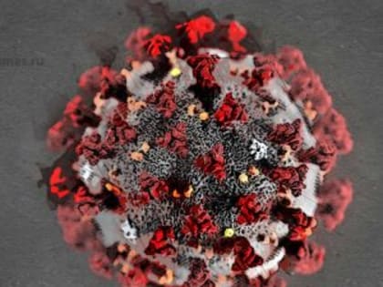 В Орловской области распространение коронавируса вновь становится актуальным