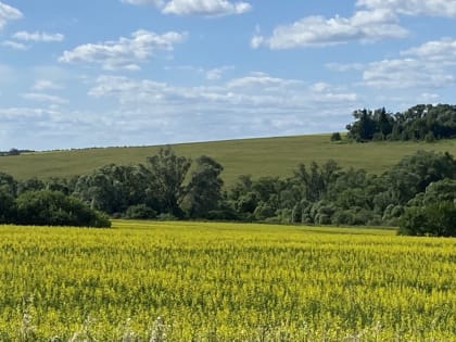 В завод по производству растительных масел вложили уже почти полмиллиарда