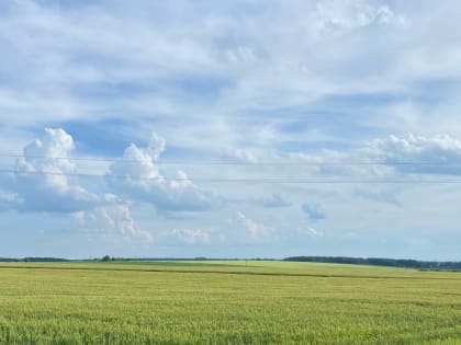 В Орловской области началась уборочная