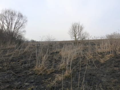 В Орловской области погибла пенсионерка, устроившая травяной пал