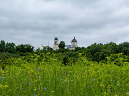 В Неделю 7-ю по Пятидесятнице Владыка Тихон возглавил Литургию в Дмитровске
