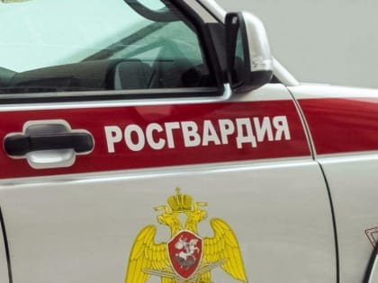 Орловские росгвардейцы в праздники задержали напавшего на охранника хулигана