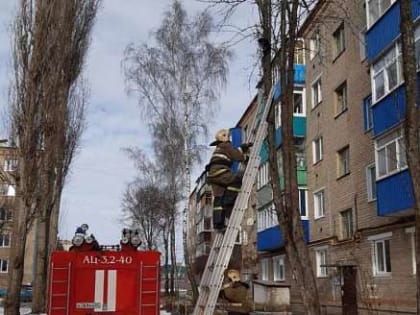 Орловских пожарных поблагодарили за помощь животным