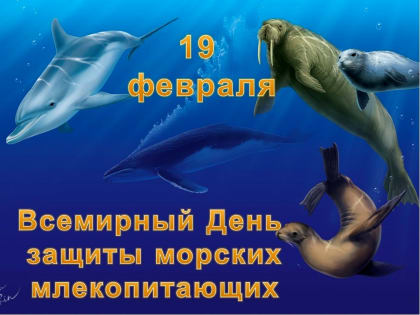 19 февраля - Всемирный день защиты морских млекопитающих
