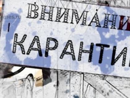 В 13 школах Орла отдельные классы закрыты на карантин по ОРВИ