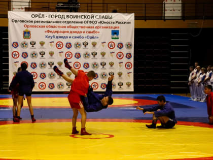 В Орловской школе открыли секцию самбо