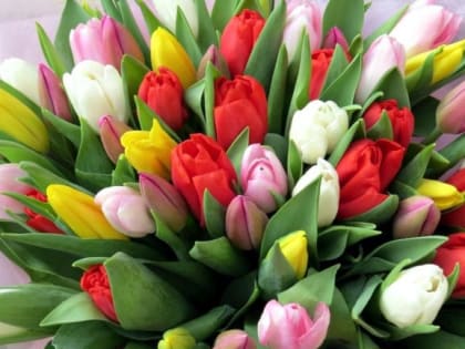 В Ливнах к 8 Марта проведут специальную ярмарку