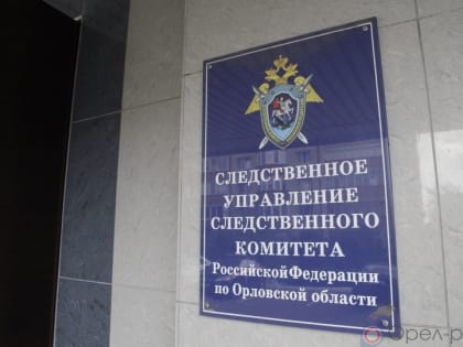 В Орле трое сотрудников полиции могут сесть в тюрьму за помощь бывшему коллеге