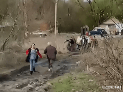 В посёлке Нижняя Лужна произошла массовая драка между цыганами и местными жителями. Что стало причиной конфликта?