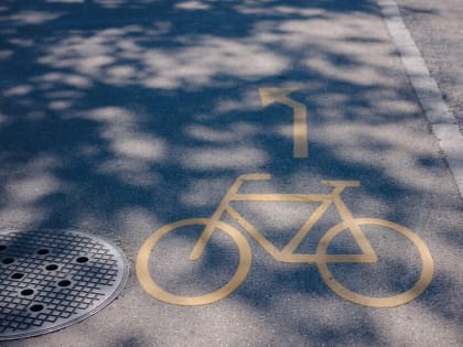 В Ливнах поймали велосипедного вора