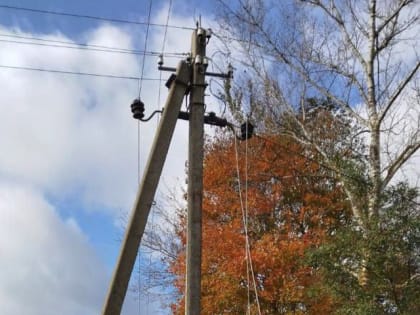 В Орловской области снова ожидается усиление ветра