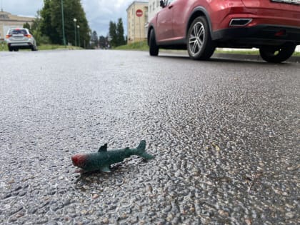 Орловец лишился автомобиля за отказ от медосмотра