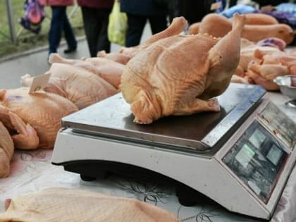 Ассоциация производителей предупредила о скачках цен на индейку