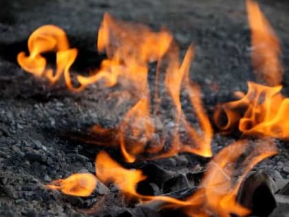 Житель Ливен убил сына «с особой жестокостью»