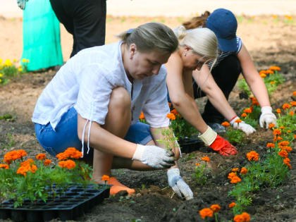 В Ливнах власти собираются посадить три клумбы и спилить пирамидальные тополя