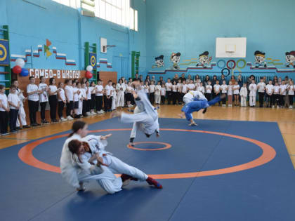 Самбо придёт в каждую школу Орловской области