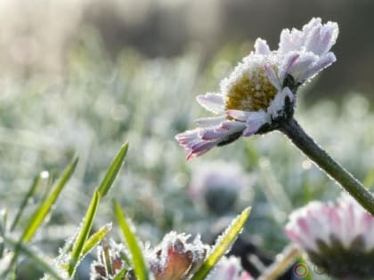 МЧС снова предупреждает орловцев о заморозках