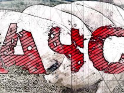 Вирус АЧС облюбовал Орловскую область