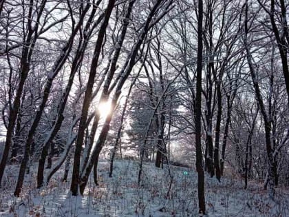 Орловцев предупредили об аномальных холодах