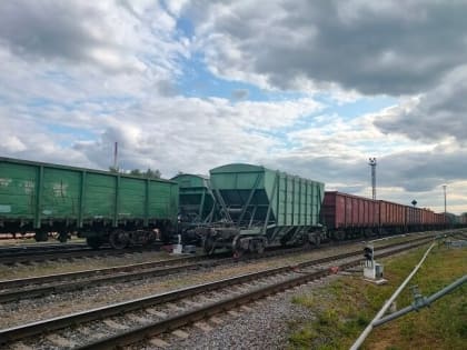 Корея начала закупать орловский жом