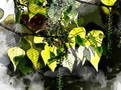 Синоптики прогнозируют в Орловской области жару до 26 градусов