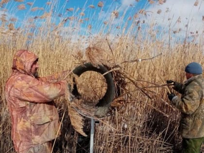 В Орловской области устанавливают искусственные гнезда для уток