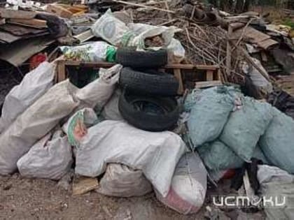 И снова мусор. Орловчанка обратилась в нашу редакцию за помощью. Во дворе её дома образовалась настоящая свалка