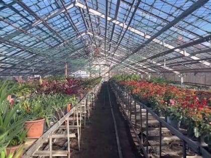 Чиновники рассказали, что будет с работниками ликвидируемого «Зелентсроя»