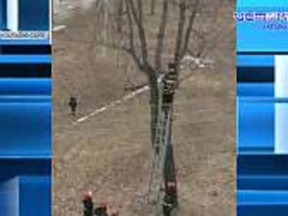 В Орле сотрудники МЧС показали зоозащитникам все нюансы быта и службы огнеборцев