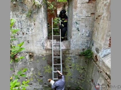 10 мая орловские спасатели помогли выехать из грязи автомобилю «скорой» и спасли собаку