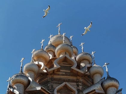 Долго будет Карелия сниться: остроконечных елей ресницы над голубыми глазами озер