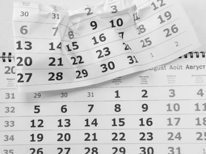 Новые законы августа в России