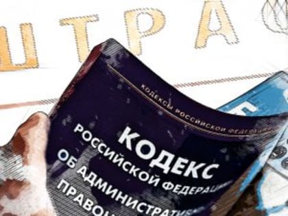 Штрафы и административная ответственность: итоги года