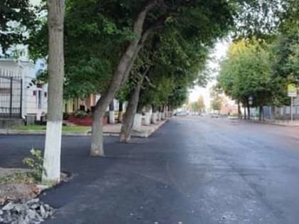 В Орле на ул. Максима Горького деревья закатали в асфальт. Клычков призвал мэра лучше следить за работой подрядчиков