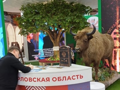 Орловщина удивила открытками и плясовой гостей выставки «Россия»