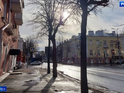 В ближайшую неделю в Орле ожидаются ночные заморозки и оттепель днем